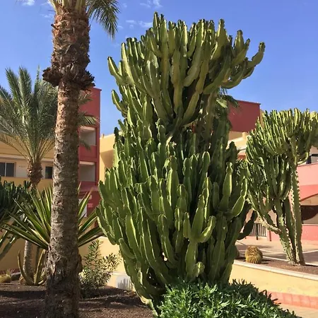 Апартаменты Casa Du Soleil *